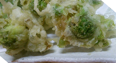 ふきのとうの天ぷら